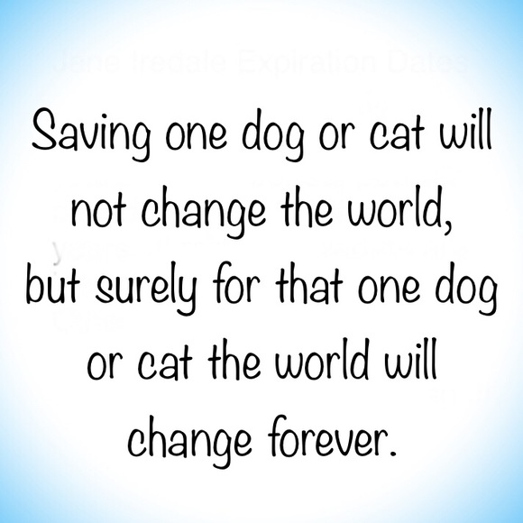 Jane iredale PurePressed Base Mink - Picture 9 of 9